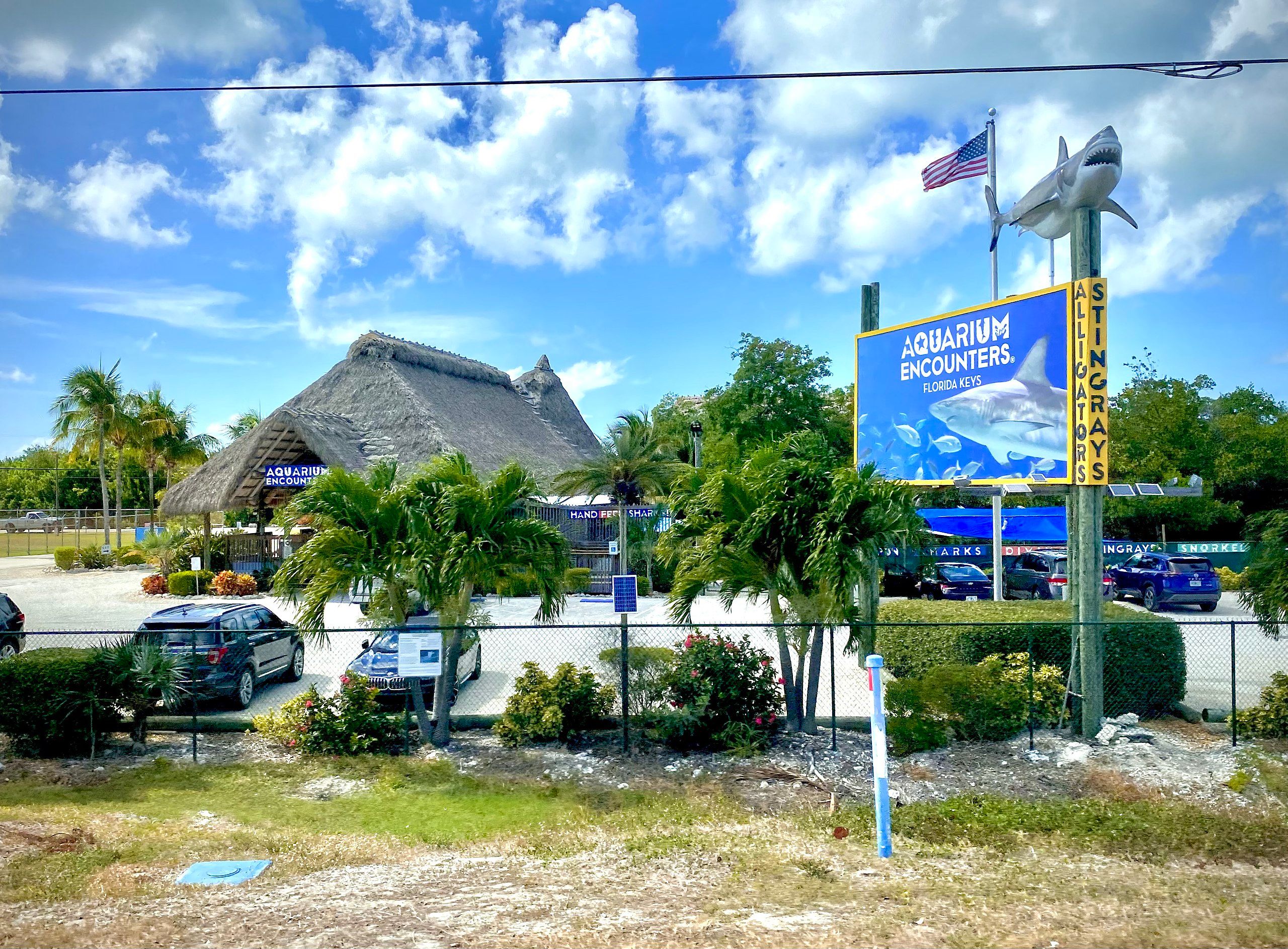 Florida Keys Aquarium Encounters, eine beliebte Attraktion in Marathon, Florida
