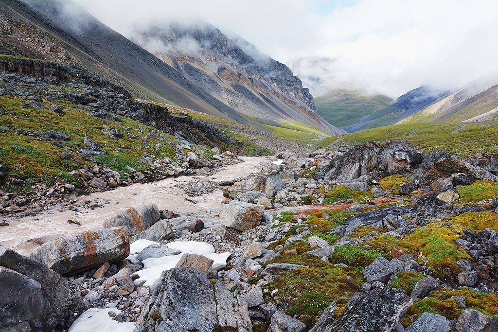 A glacial stream flowing through a remote mountain valley in Gates To The Arctic, USA