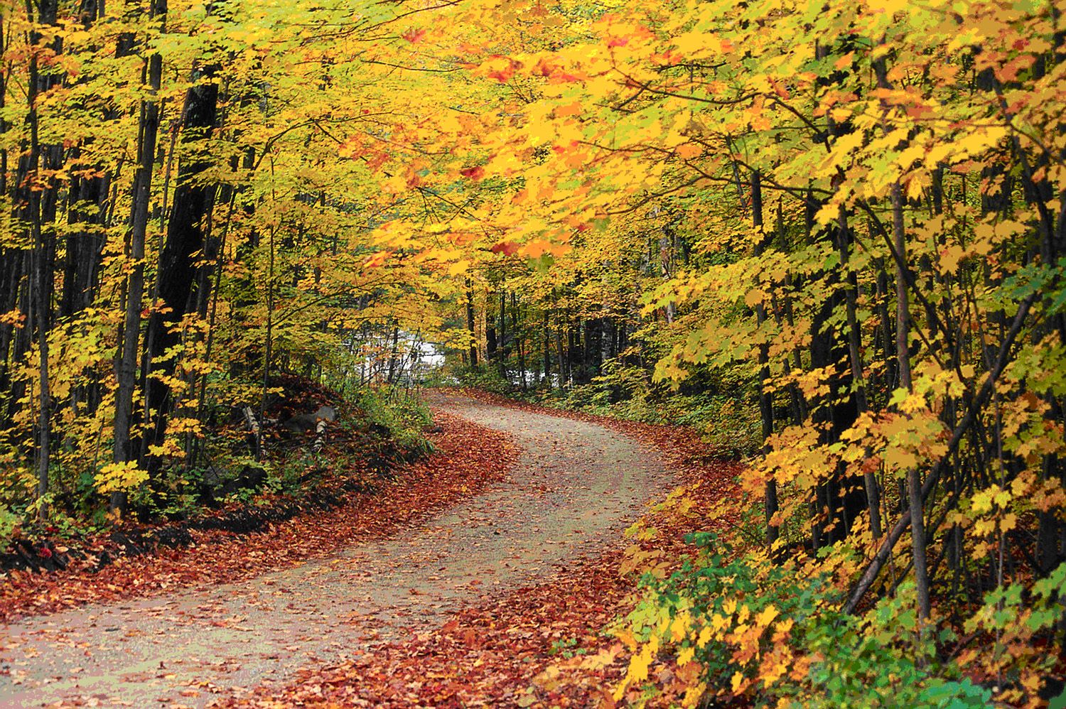 10 Perfect Fall Foliage Hikes To Take In Vermont