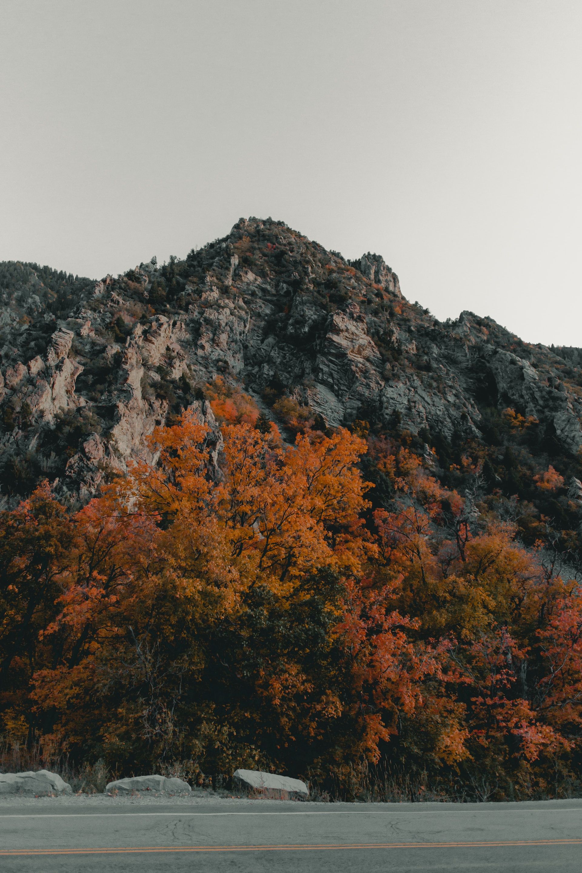 Fall foliage in Little Cottonwood Canyon, Utah