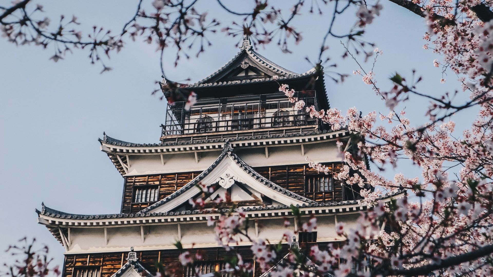 Sakura cherry blossom trees around Hiroshima Castle, Japan