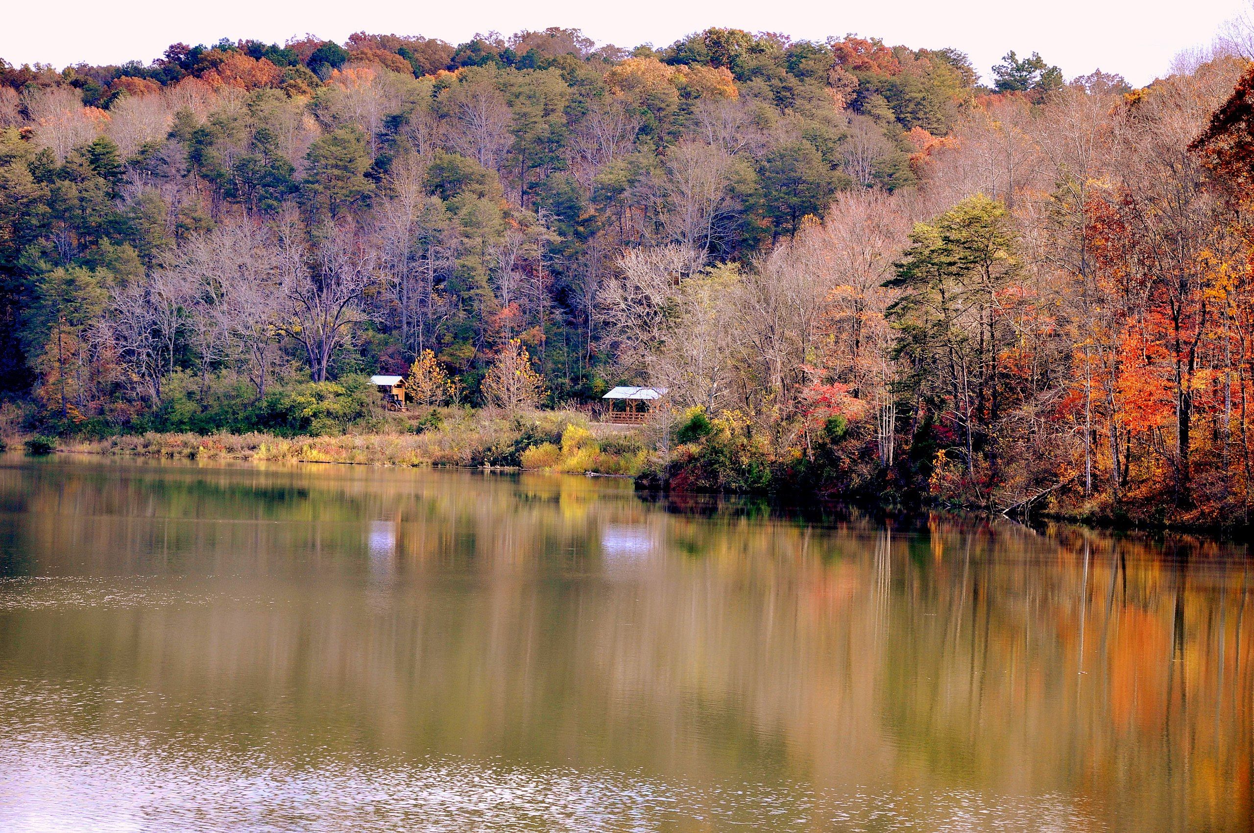 Realtor Com Dahlonega Ga 49 - 06cbo1m