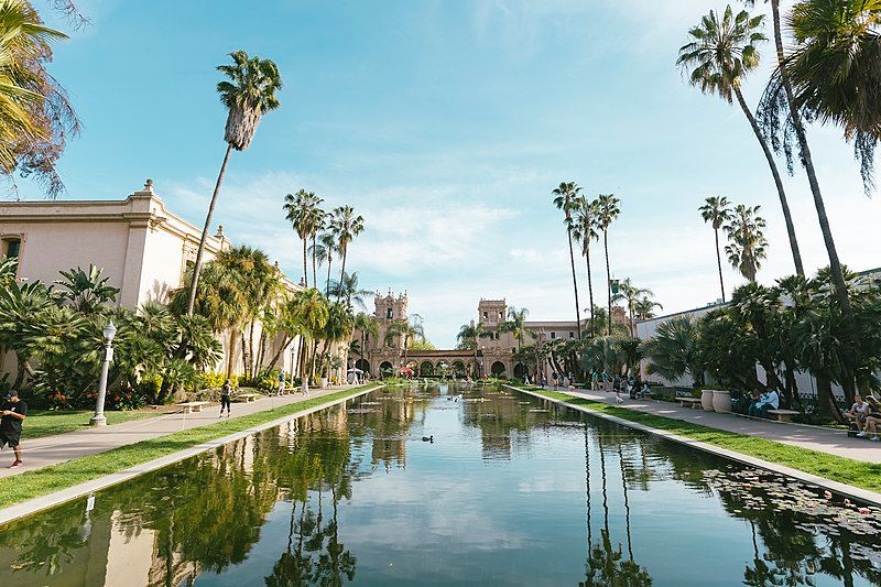 Lily Pond in Balboa Park in San Diego, California