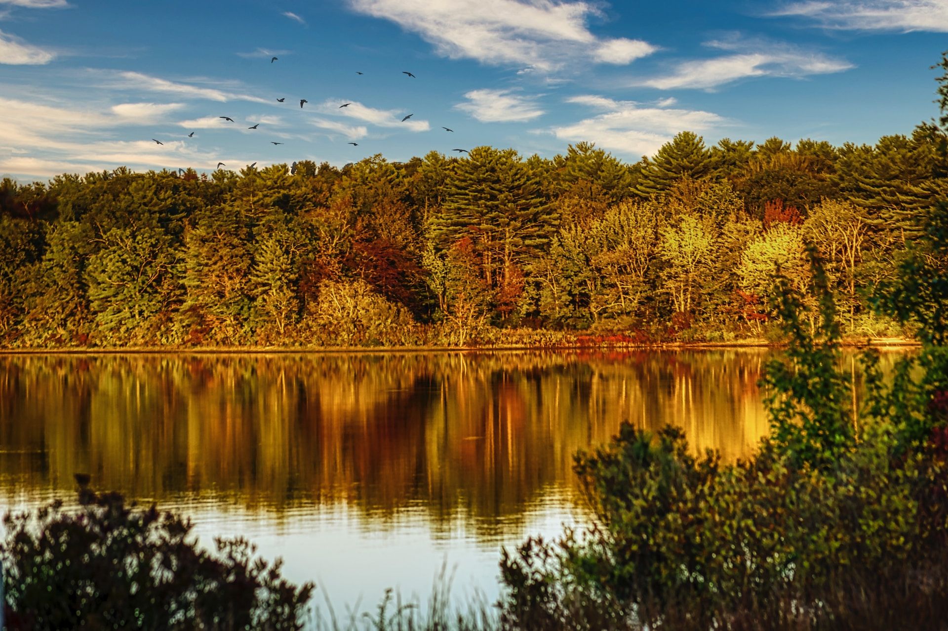 10 Best Cheap Hotels In Massachusetts For Budget-Friendly Travel Options