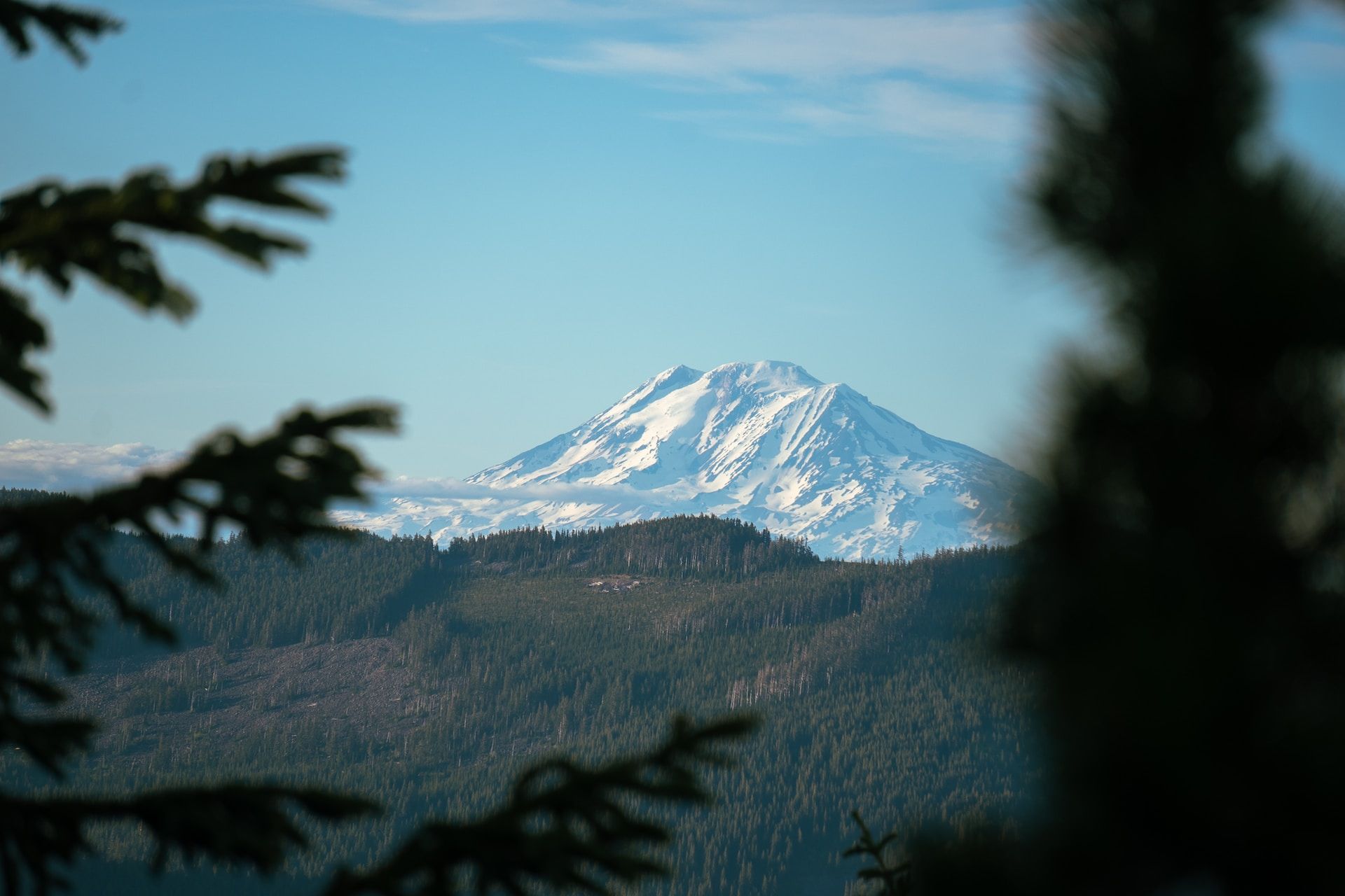 Mount Adams in Washington State