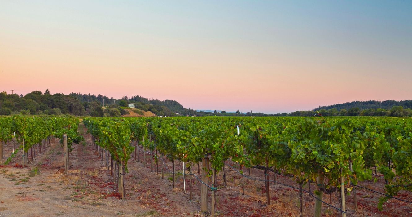 Napa, California winery at sunset