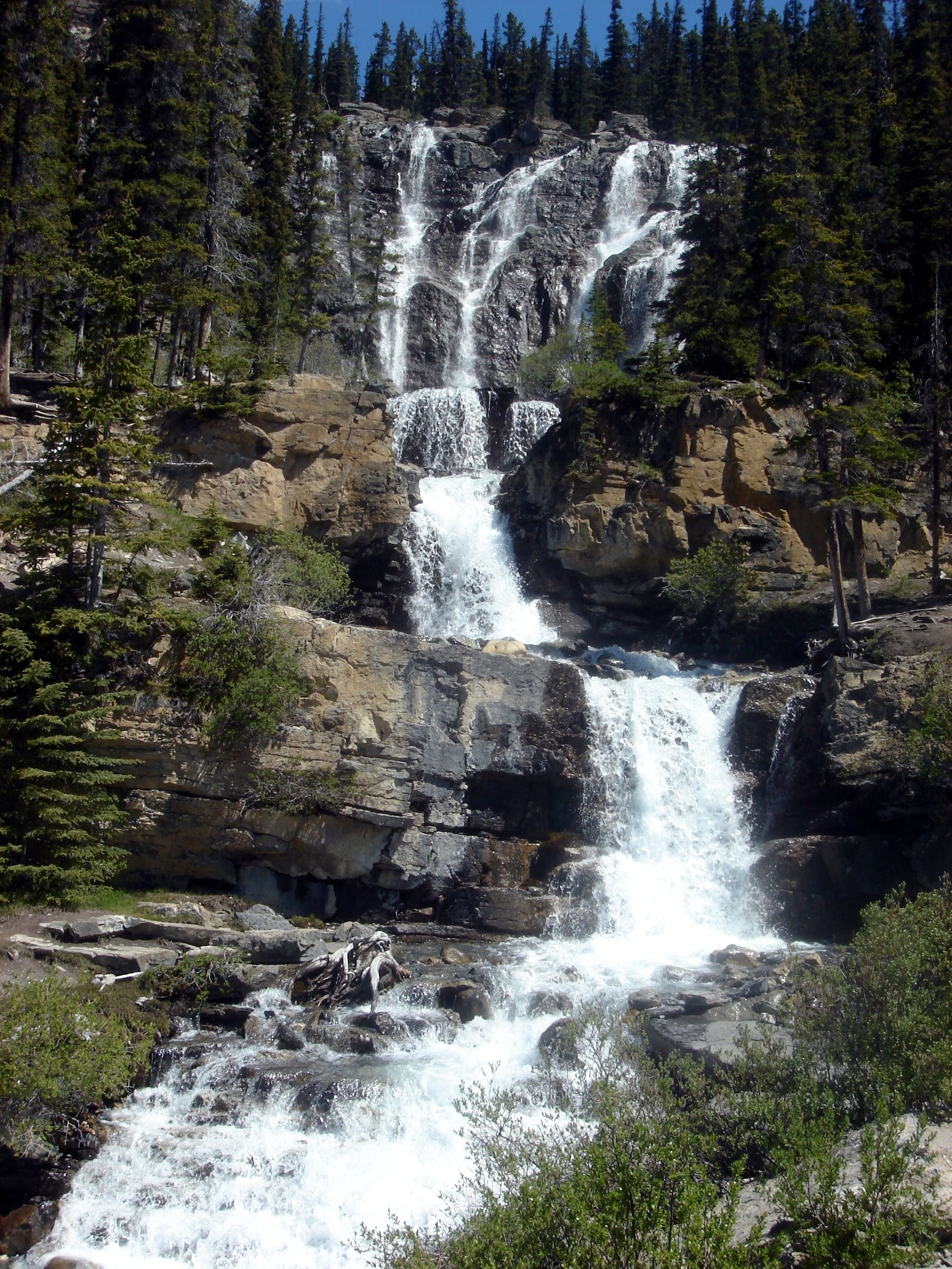 13 Things To Do At Wilcox Pass, Jasper National Park, Canada