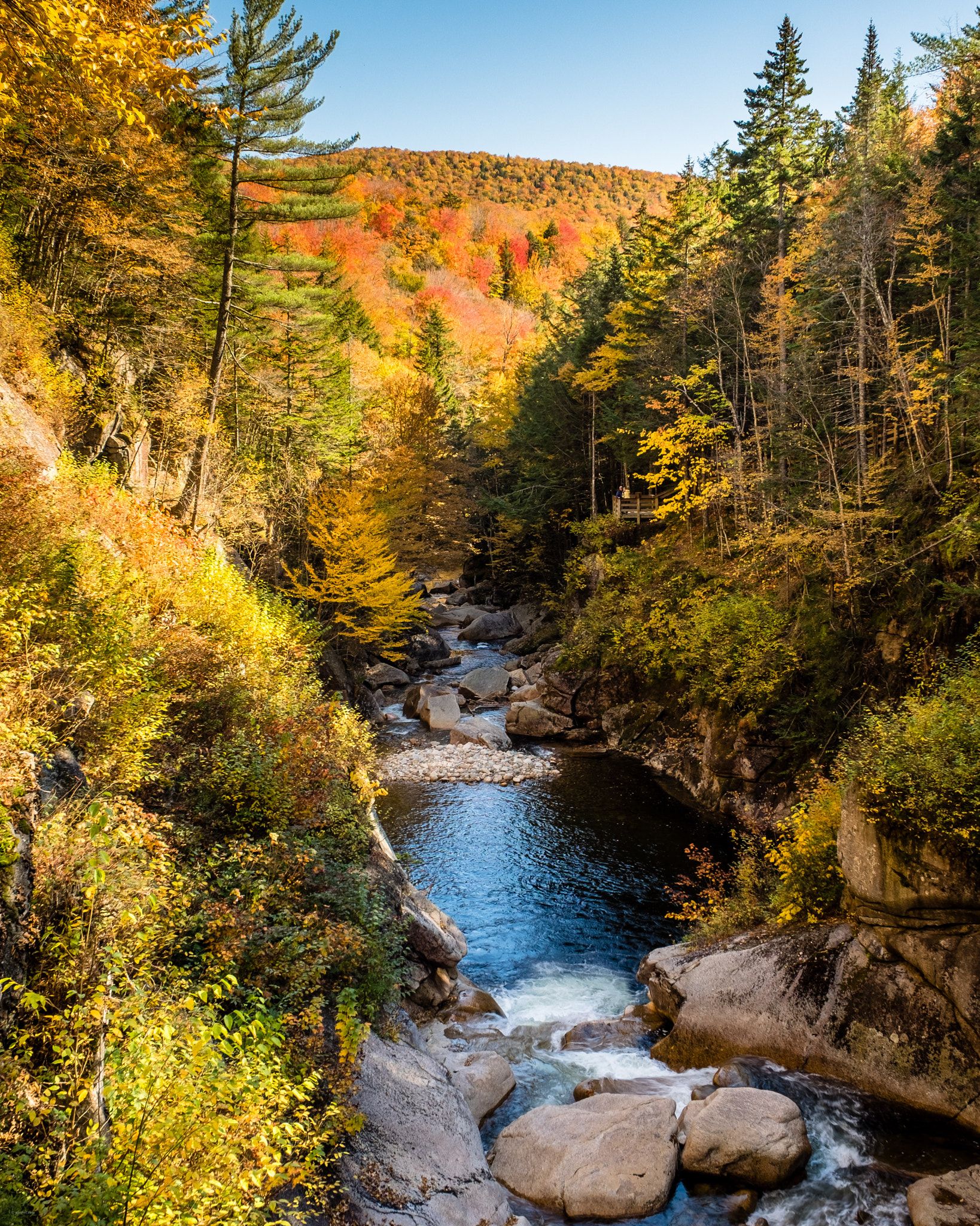 10 Perfect Fall Foliage Hikes To Take In New Hampshire