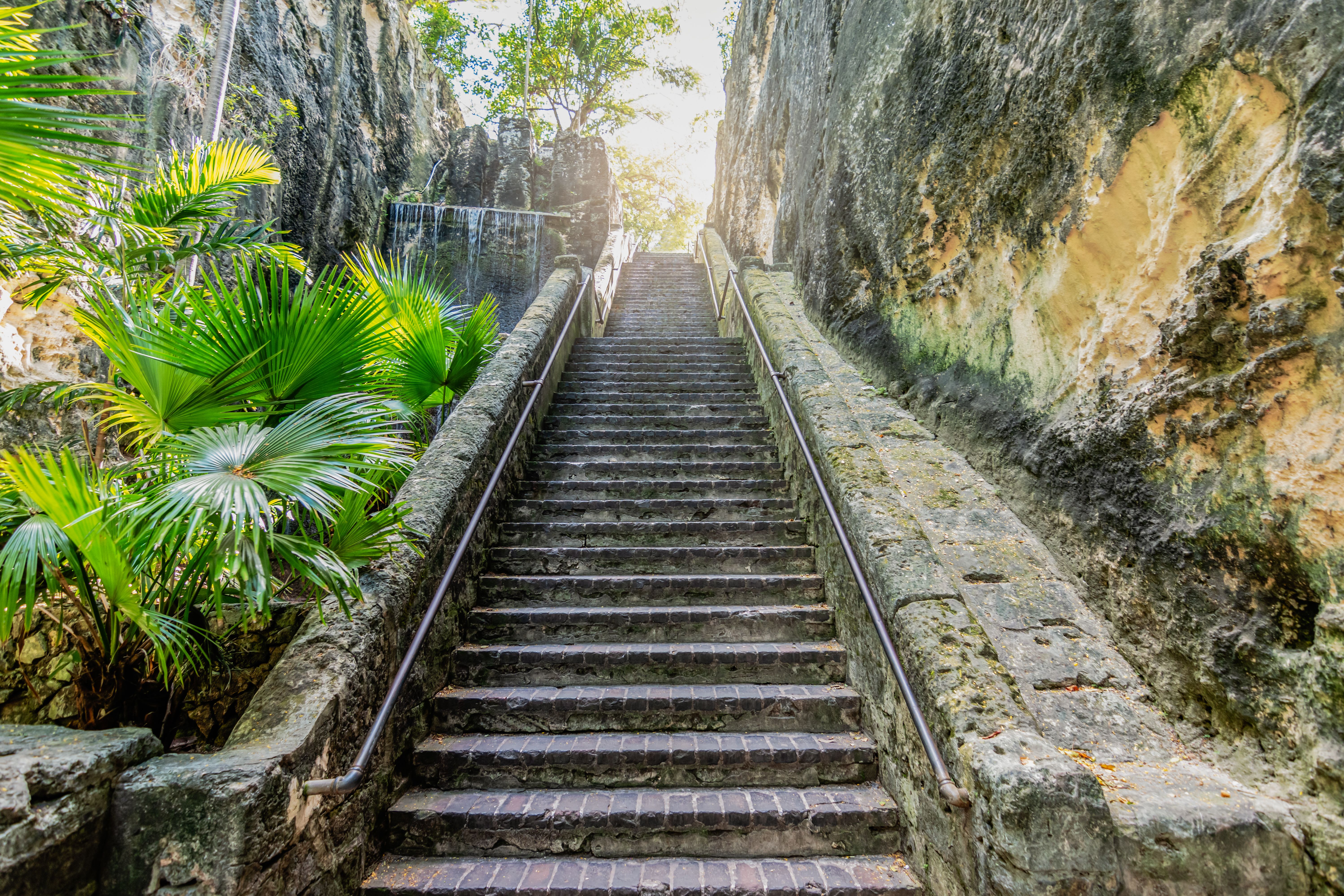 The Queen's Staircase in Nassau, Bahamas, surrounded by jungle foliage