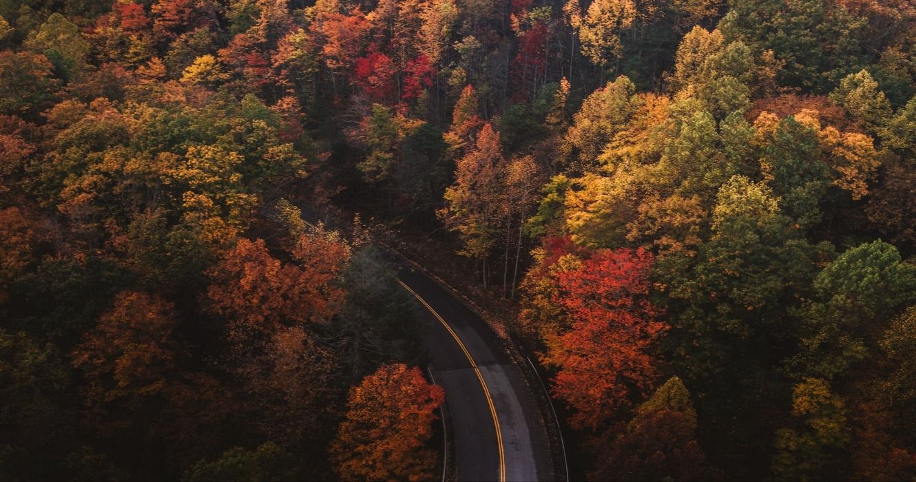 A road in the autumn lined with colorful fall foliage in Gatlinburg, Tennessee, Great Smoky Mountains National Park, United States