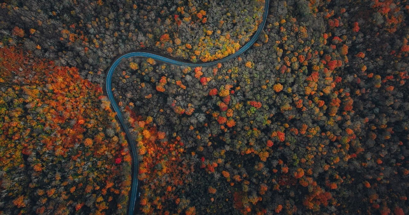 An aerial view of autumn colors and beautiful fall foliage on the Blue Ridge Parkway road trip in the Blue Ridge Mountains, North Carolina, USA