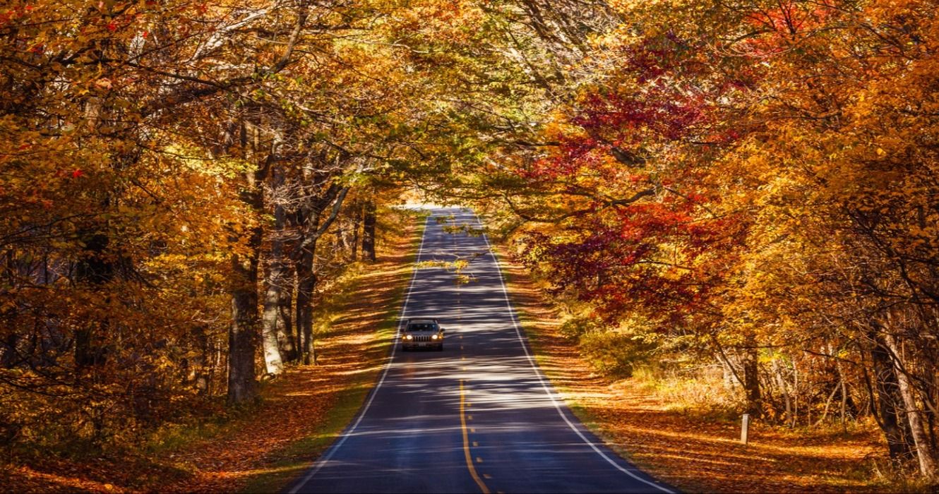 A car on a road surrounded by fall foliage in the autumn, Skyline Drive, Shenandoah National Park, Virginia, USA