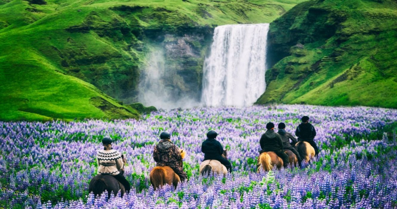 Tourists horseback riding toward Skogafoss Waterfall in the countryside of Iceland in the summer