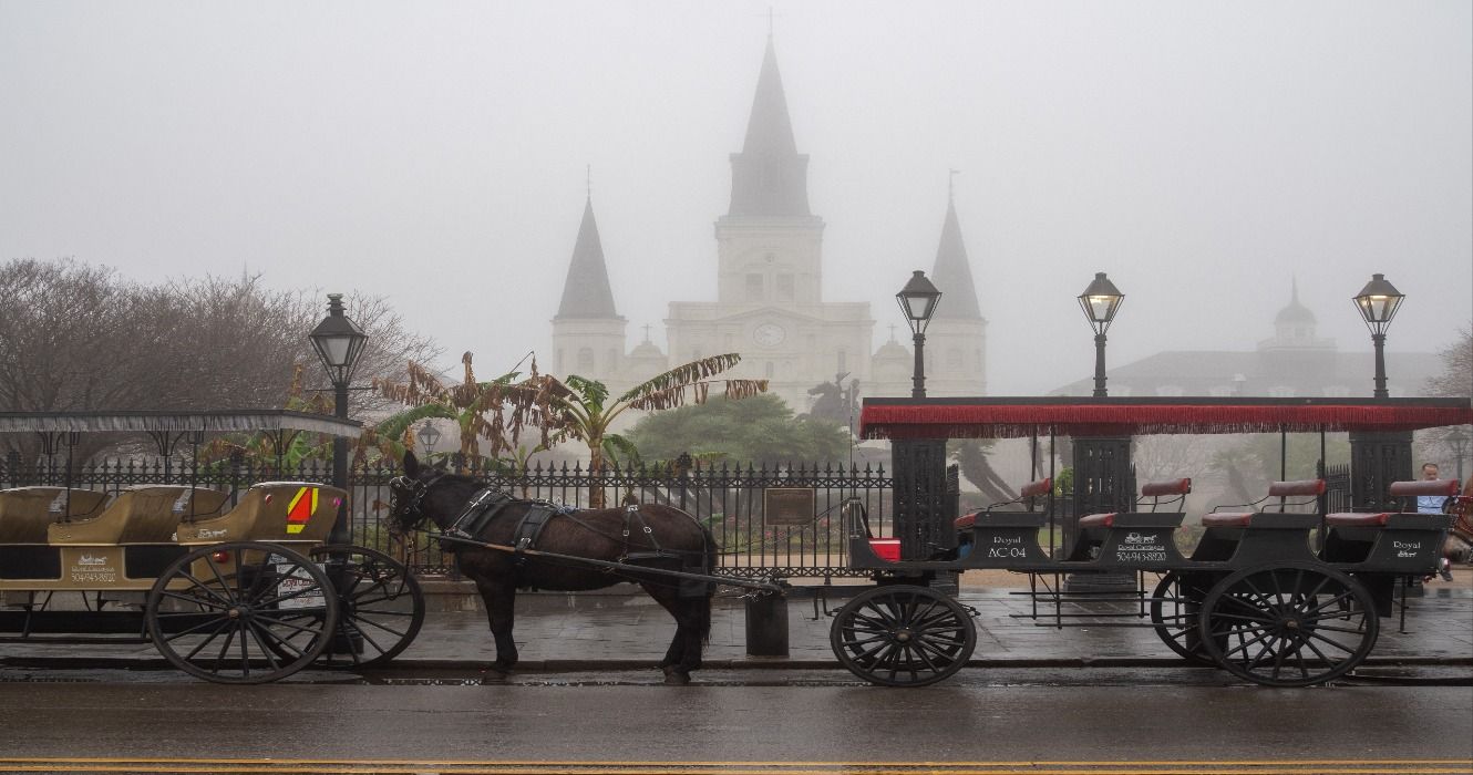 Horse-drawn carriage in front of St. Louis Cathedral on a spooky and foggy day in New Orleans, Louisiana, USA