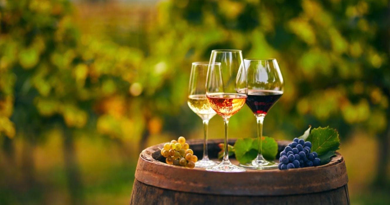 Three glasses with white, rose, and red wine with grapes on a wooden barrel in a vineyard