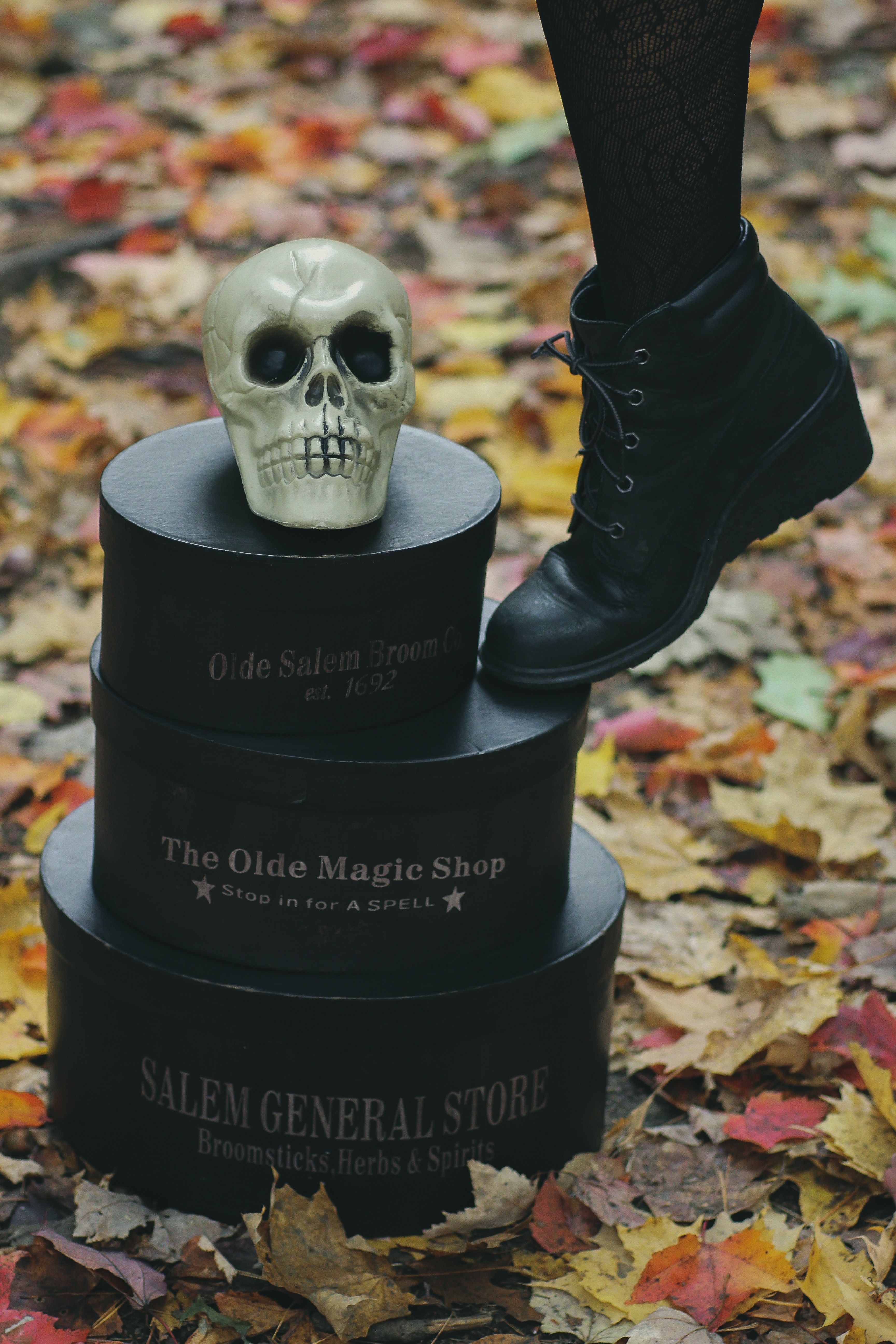 A photographic styling, paying homage to a witchy aesthetic during the Salem Haunted Happenings Halloween Festival.