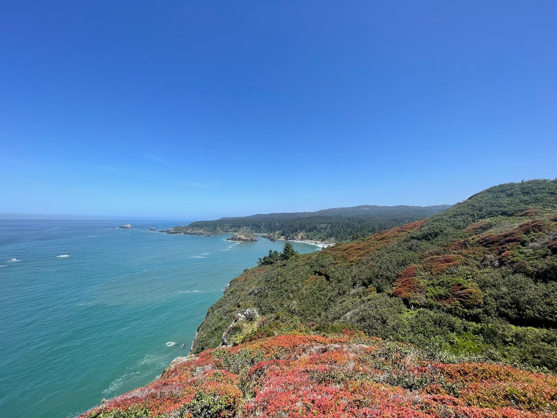 10 DogFriendly Beaches In California To Visit With Your Pup