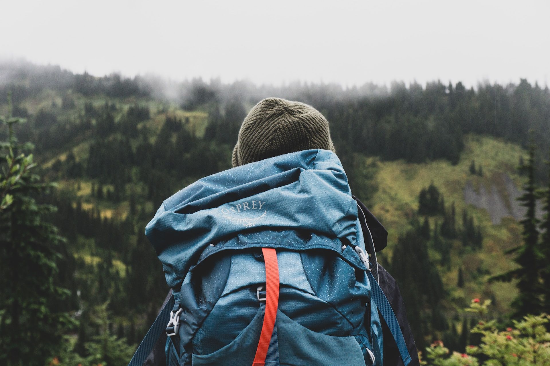 Traveler with a blue backpack looks outwards towards a misty forest
