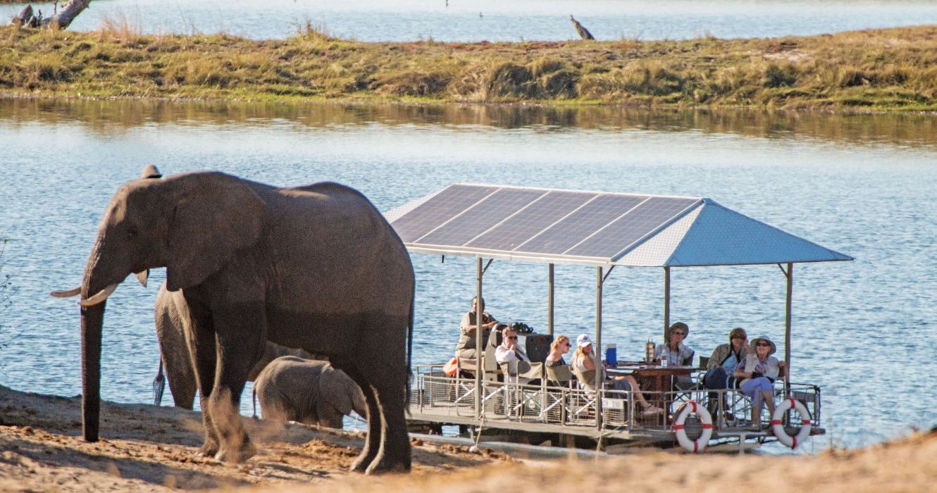 Wildlife viewing on the Chobe River, Chobe Game Lodge in Botswana