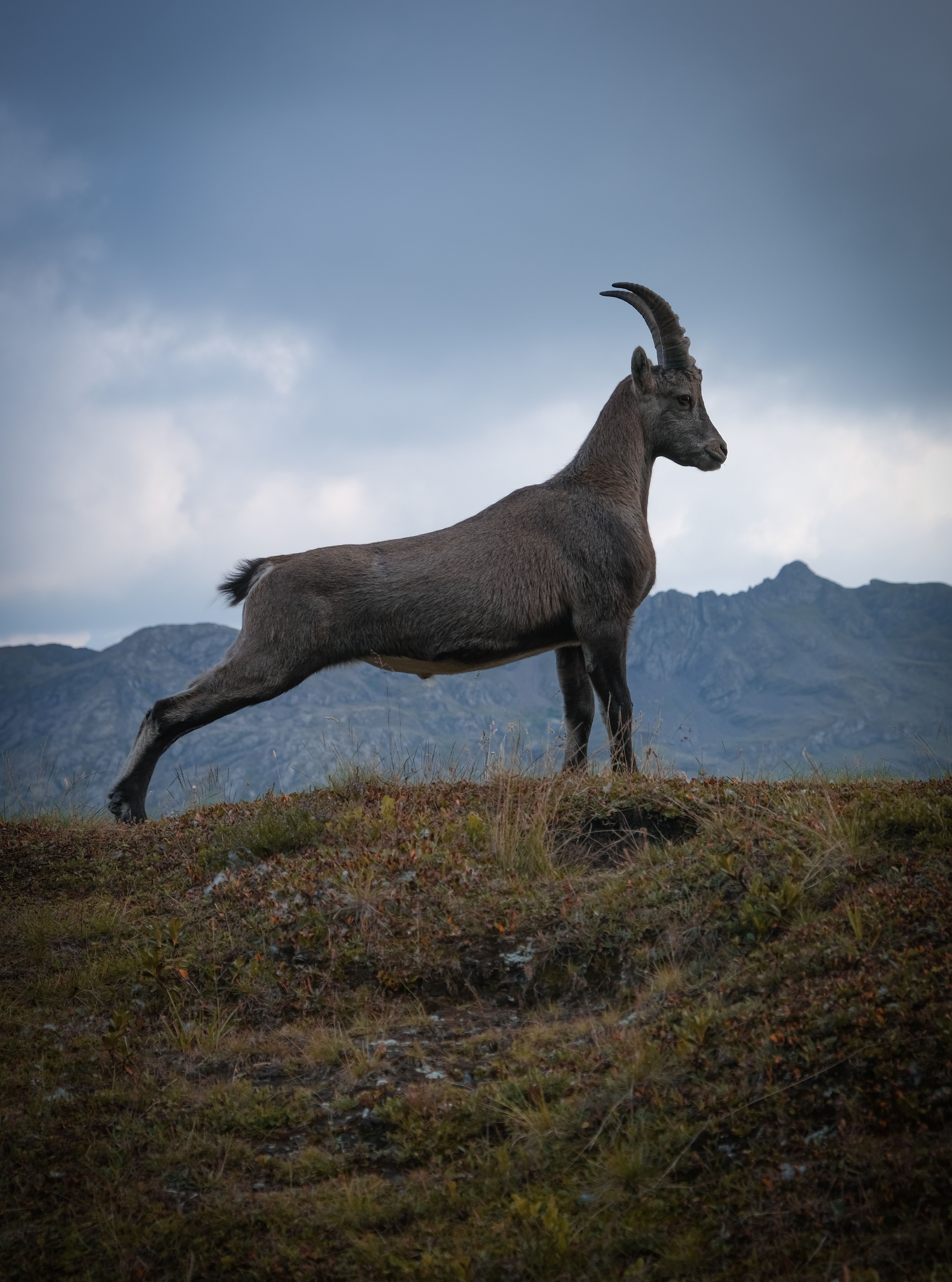 10 Tips For Respecting Wildlife When Hiking In National Parks