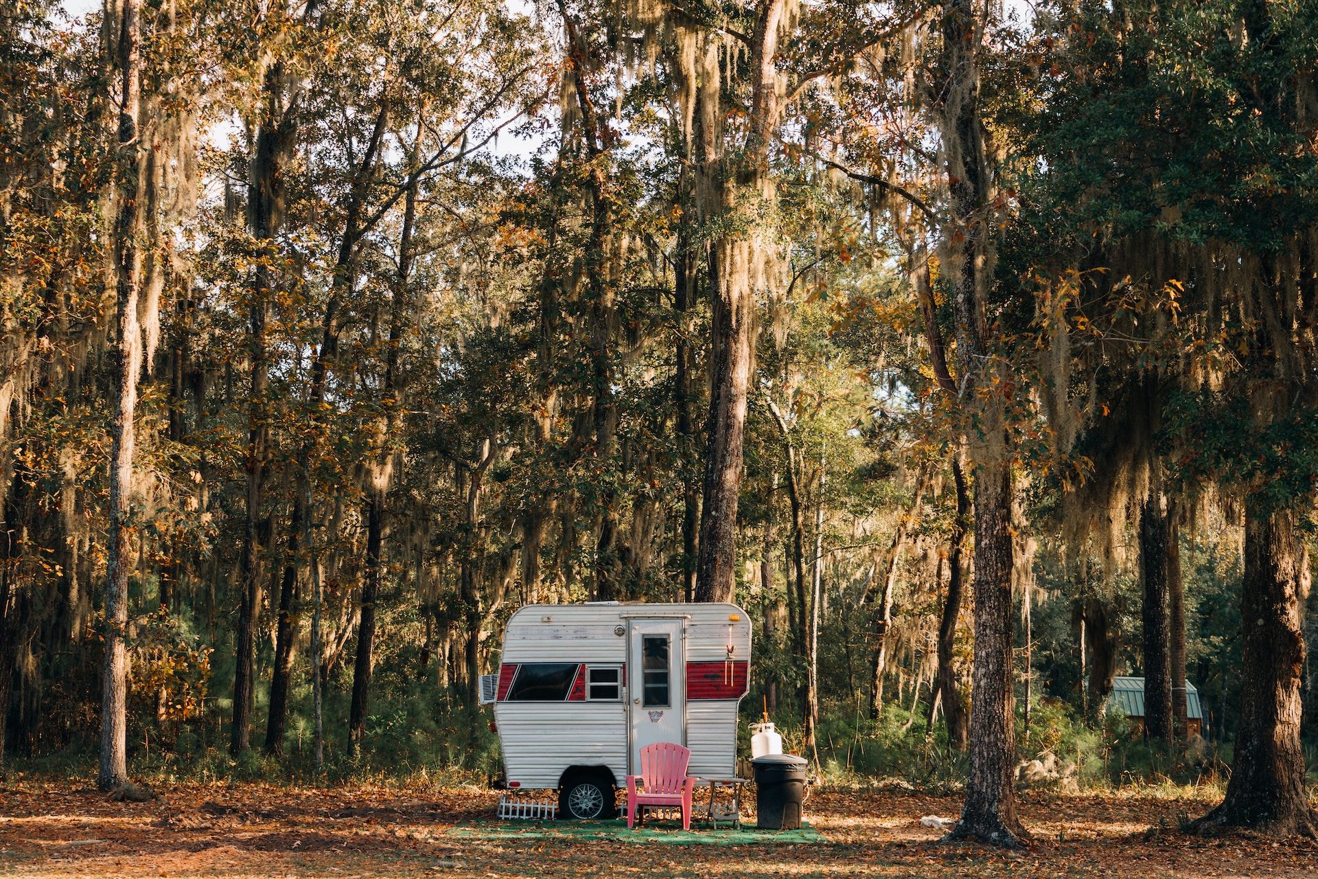 A White Small Van In The Forest In Daufuskie Island, SC, USA