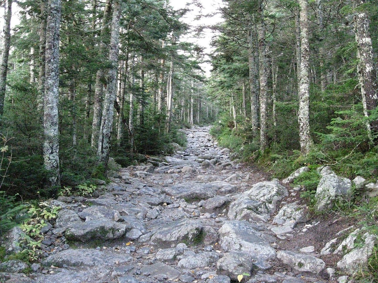 The Tuckerman's Ravine trail, Mount Washington, New Hampshire