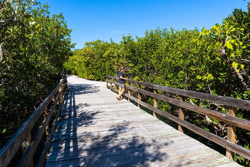 10 Things To Do On Anna Maria Island Complete Guide To Florida's
