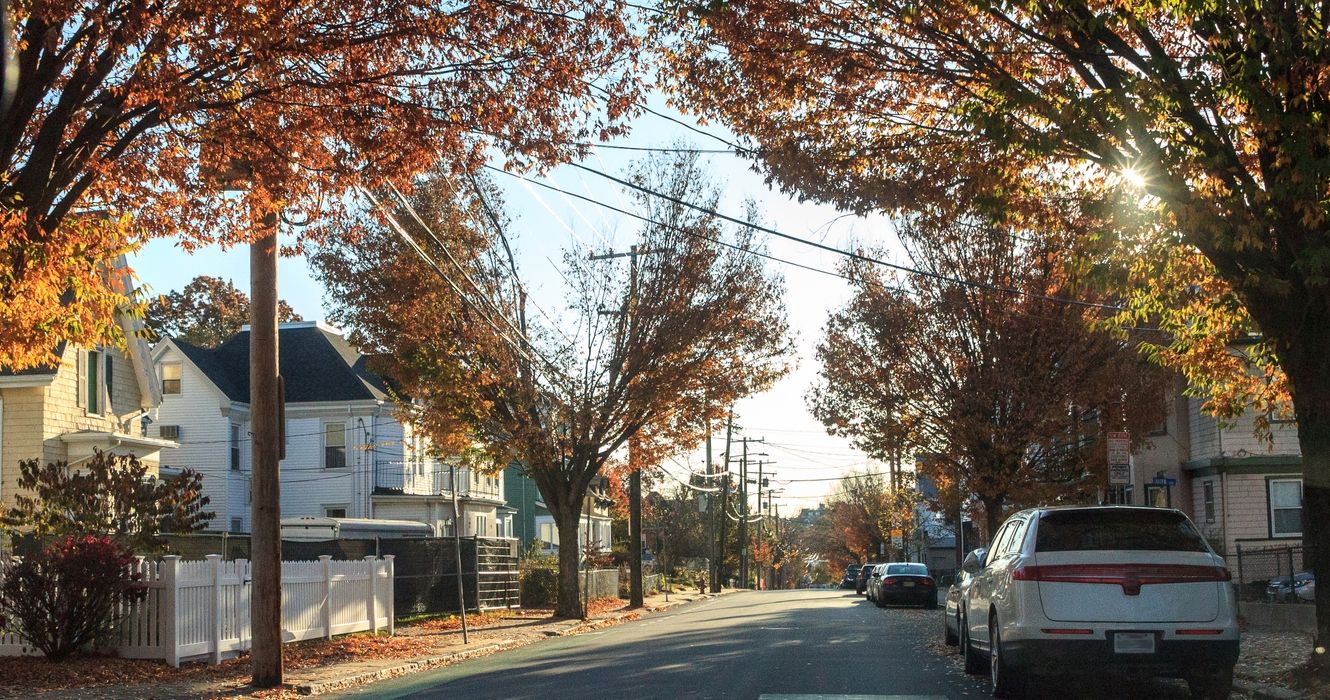 A Somerville, MA street in fall