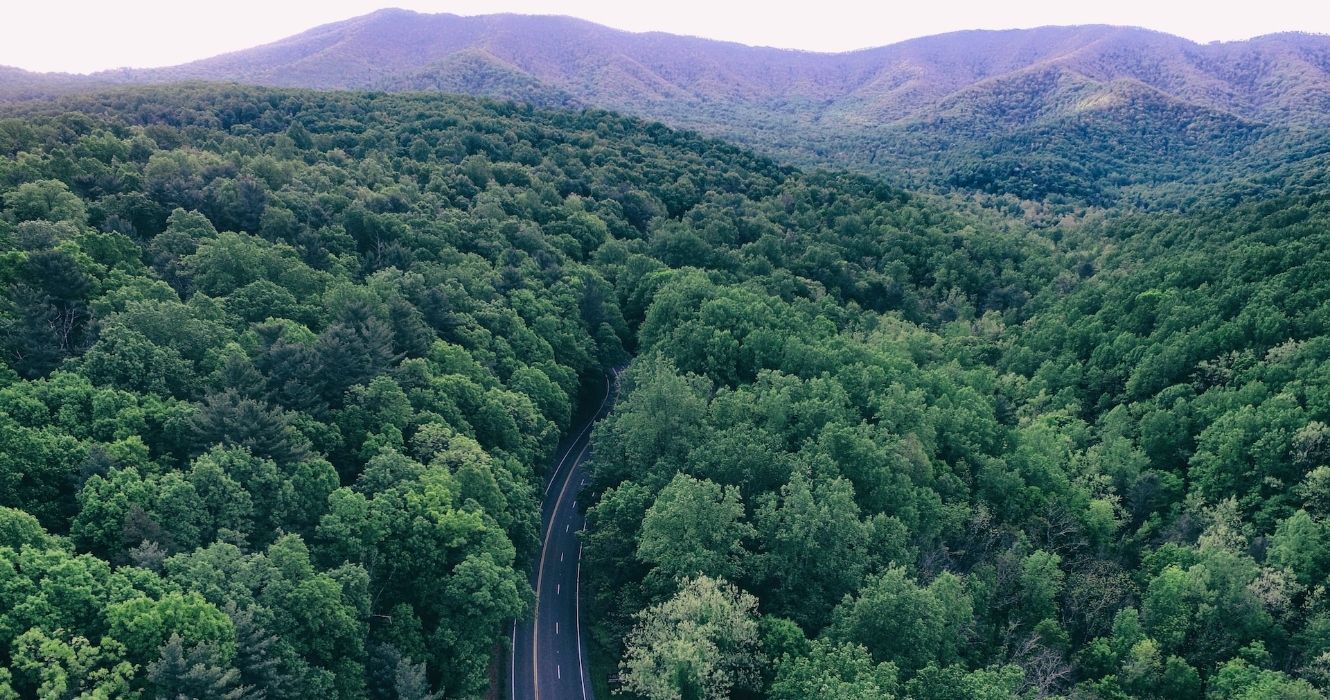 Aerial view over a road and forest leading to Luray Virginia