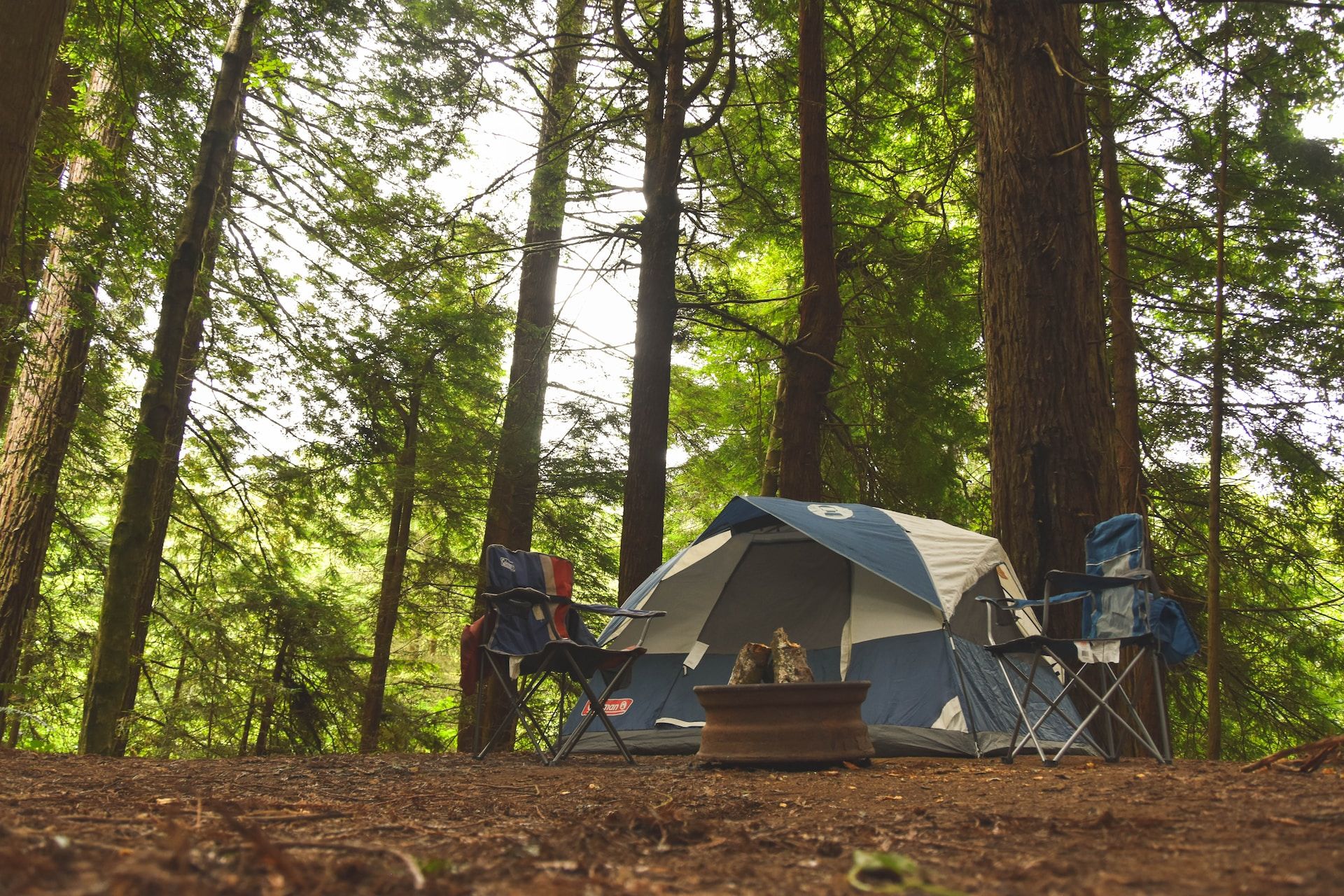 A tent within the Redwood National Forest, Northern California
