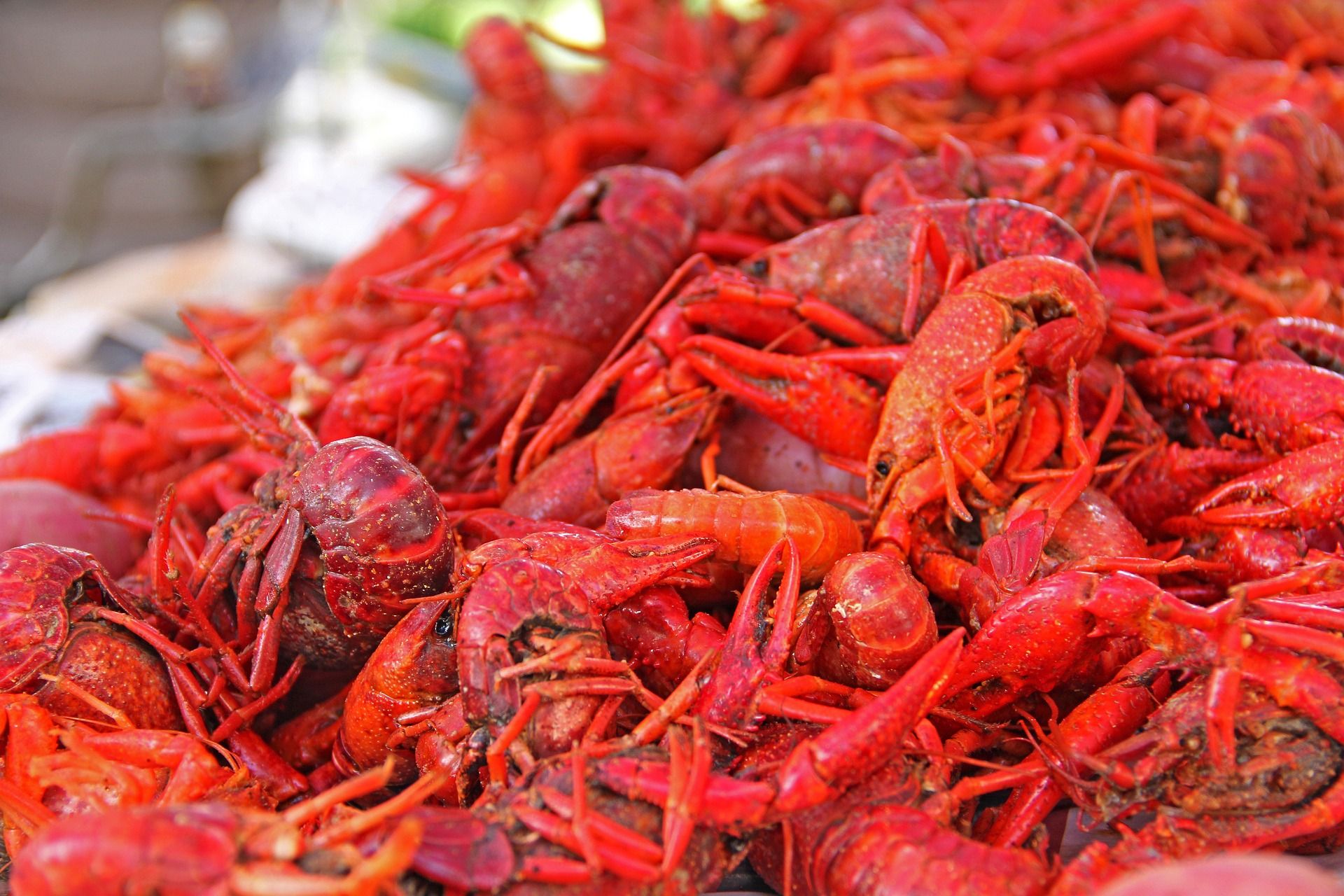 Crawfish - a popular food in New Orleans 