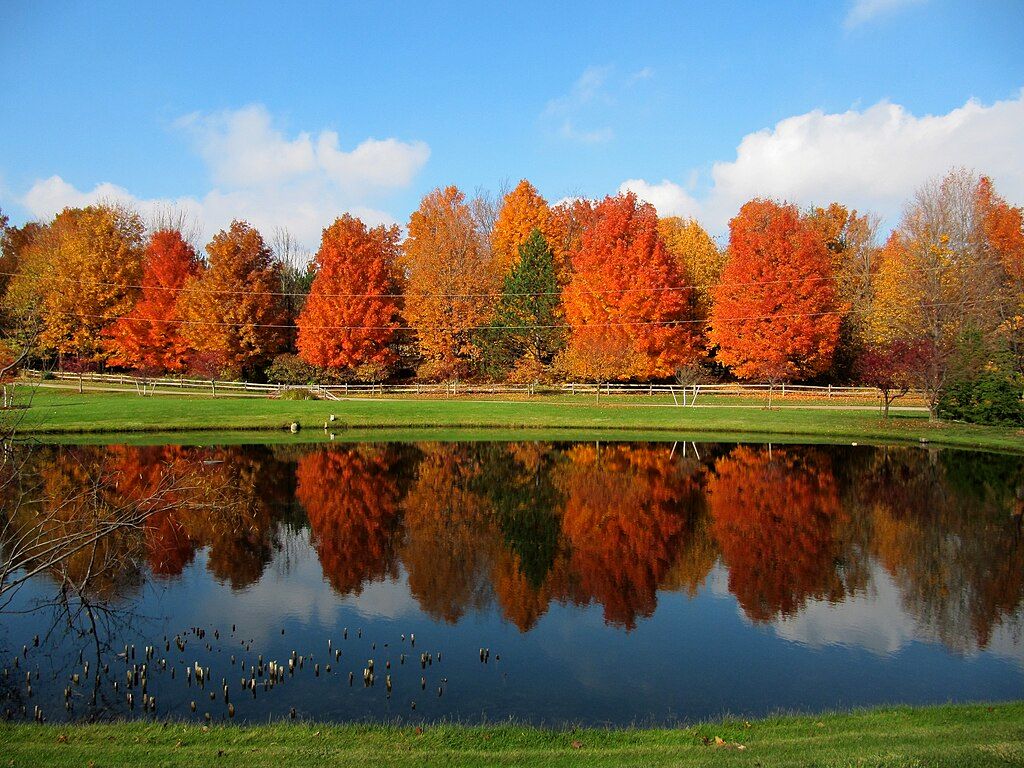 10 Beautiful Hikes And Trails In Millennium Park, Michigan