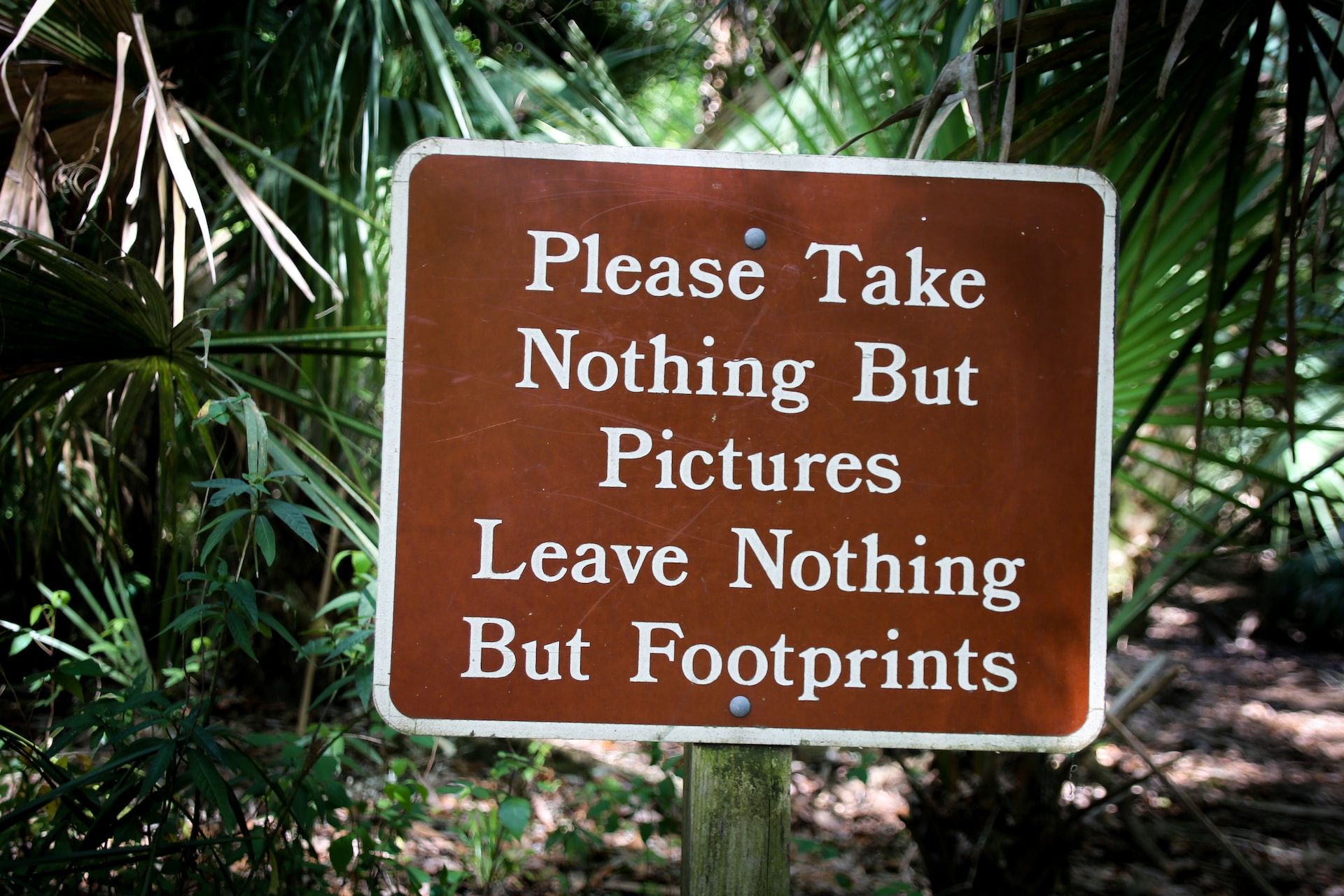 Eco-Friendly Reminder at a Park in Florida