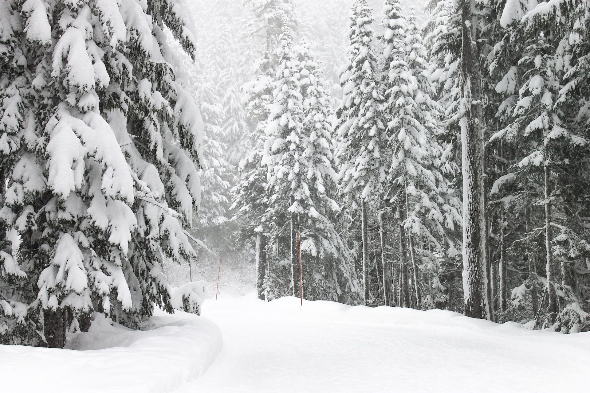 10 Snowiest Places Around The World Where You Will Almost Literally Get ...