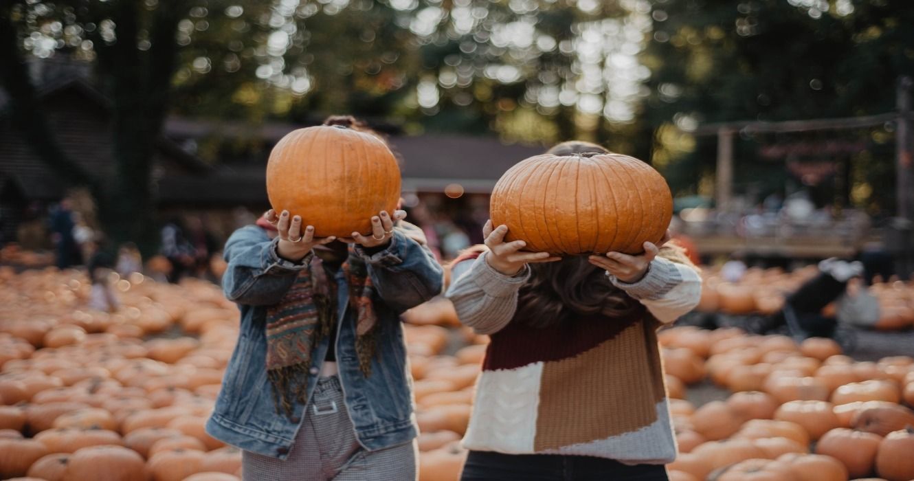 People holding pumpkins up at a pumpkin patch on a farm