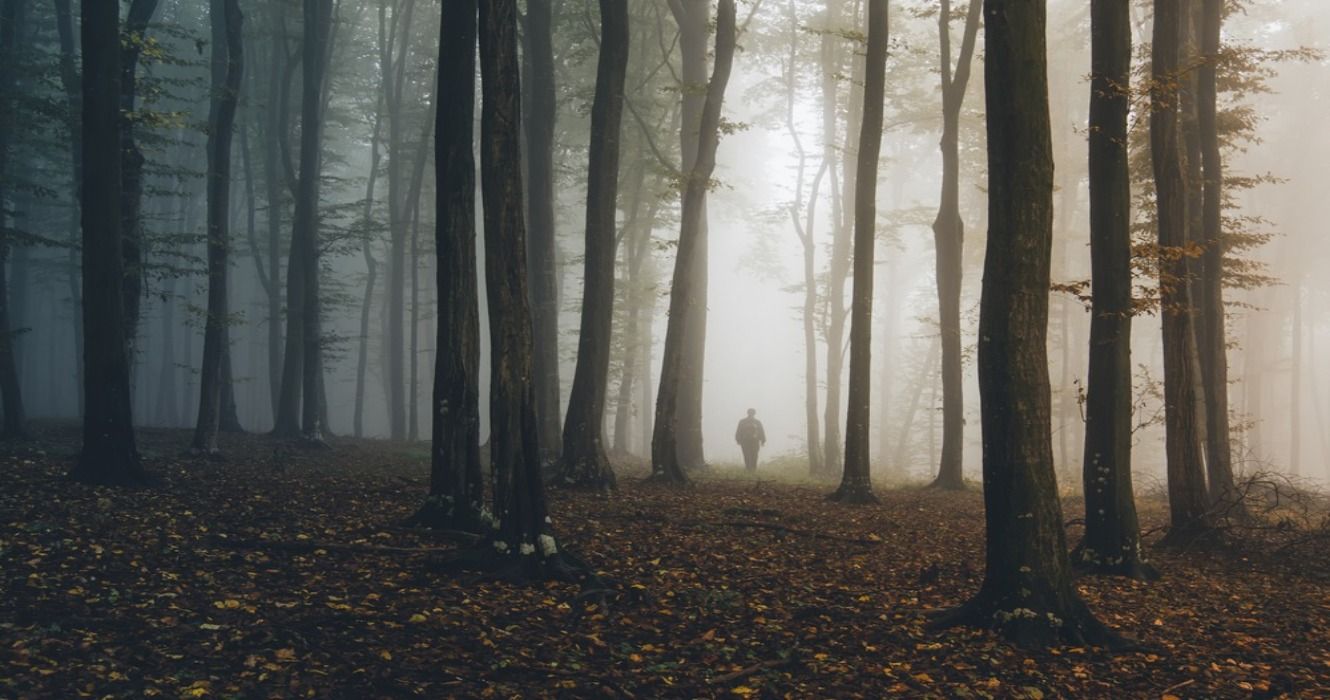 A ghostly figure of a ghost man walking in a haunted hiking trail in a dark, foggy forest with autumn fall foliage