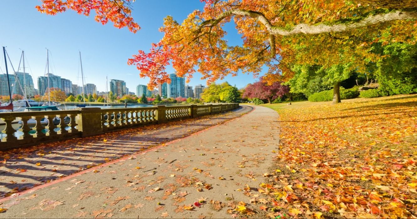 A path in the park featuring fall foliage in the autumn in Vancouver, one of the most beautiful cities in Canada