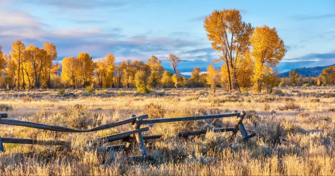 Autumn landscapes and fall foliage near Yellowstone National Park in Jackson Hole, Wyoming, USA