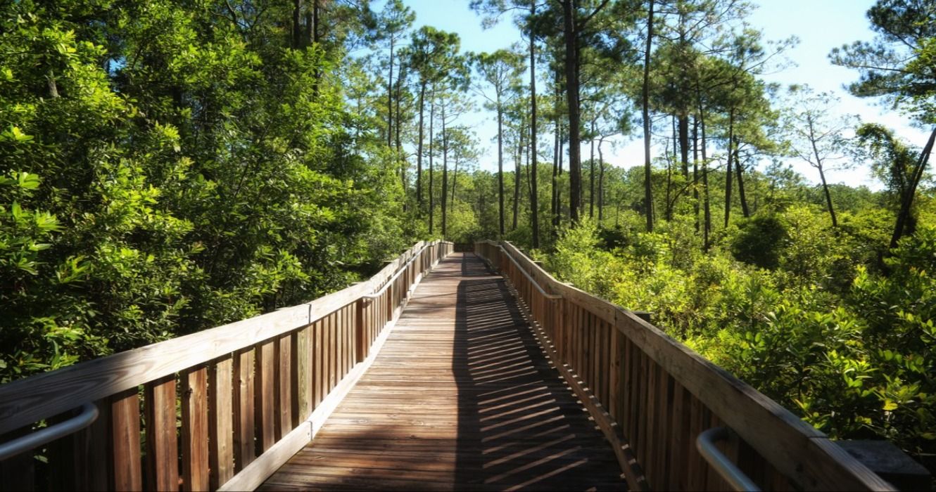A Scenic Nature Trail at Tibet-Butler Preserve Orlando, Florida, USA