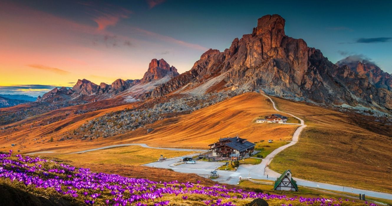 Crocus flowers blooming in the Dolomite Mountains at sunset, Giau pass, The Dolomites, Italy, Europe