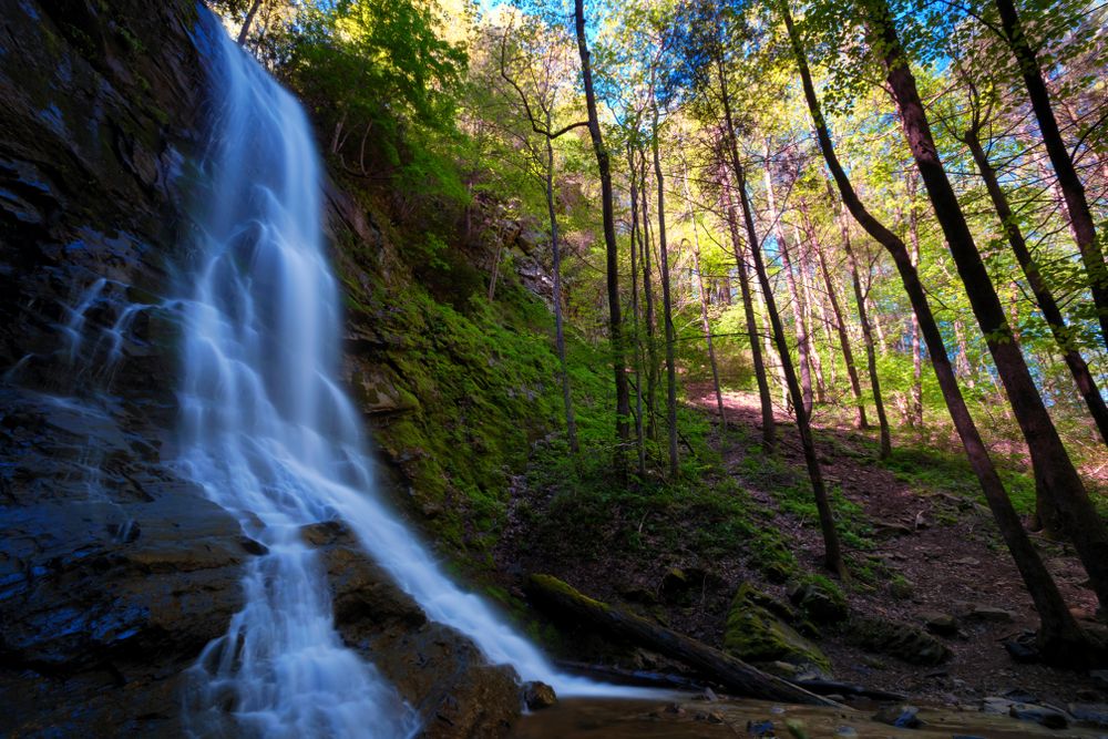Beautiful Sill Branch Waterfall, Erwin, Tennessee