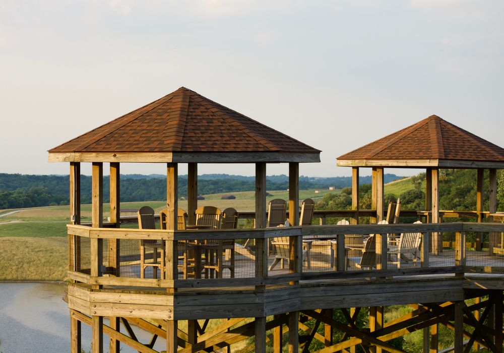 The World's Largest Zoo Is In Ohio, & You Won't Believe What It Has To ...