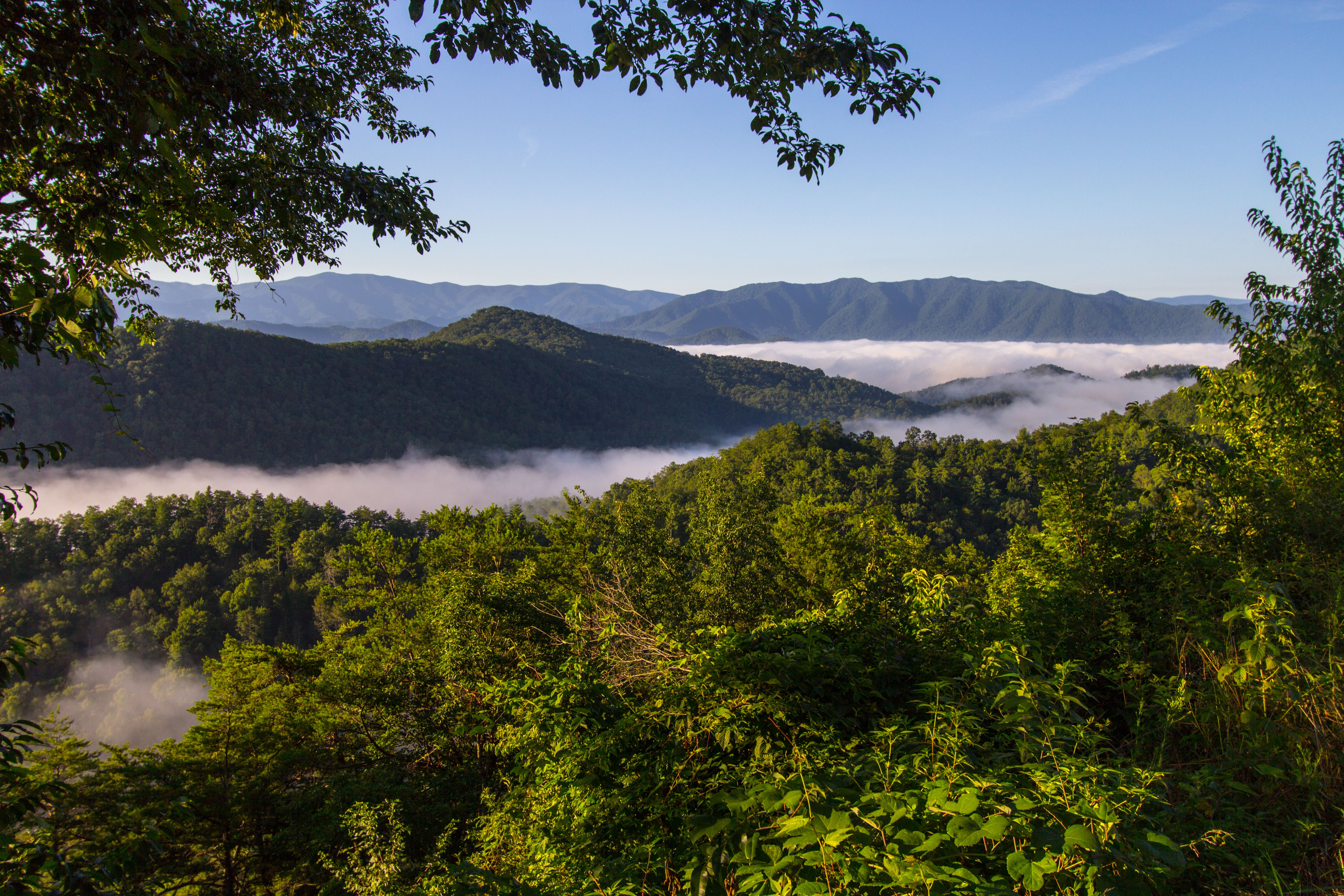 Mist in the valley of the Great Smoky Mountains National Park seen from Wears Valley, Tennessee