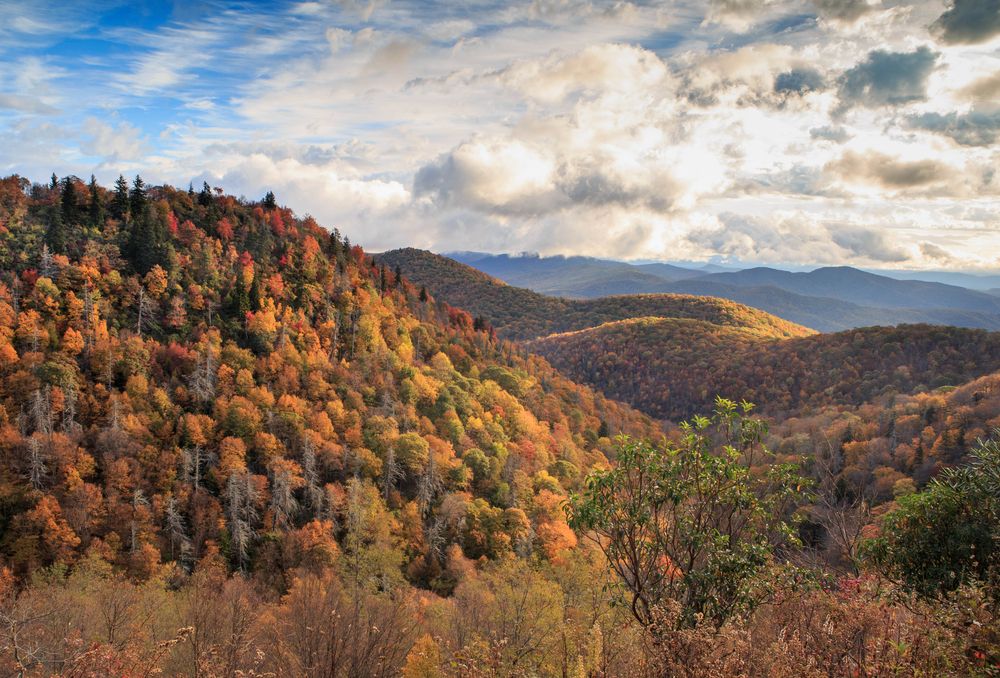 Fall foliage covering the ridges of the Appalachian Mountains at the East Fork Overlook on the Blue Ridge Parkway in Canton, North Carolina, USA