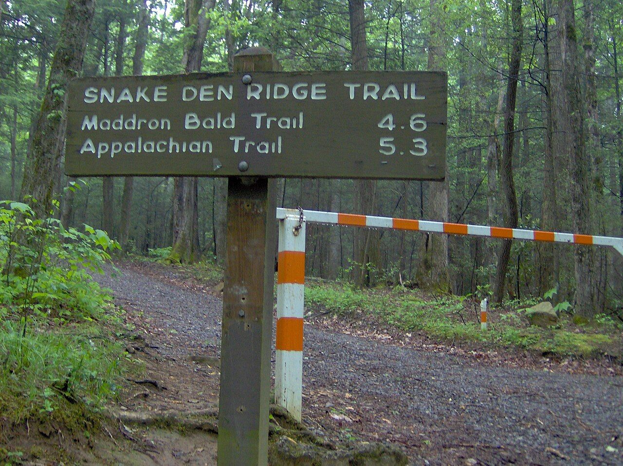 The Snake Den Ridge Trailhead in the Cosby section of the Great Smoky Mountains National Park