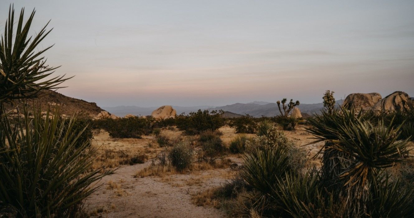 Sunset in Mojave Desert in Joshua Tree National Park