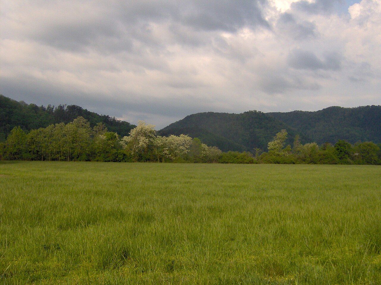 Looking toward the site of the ancient Cherokee village of Tallassee in Blount County, Tennessee