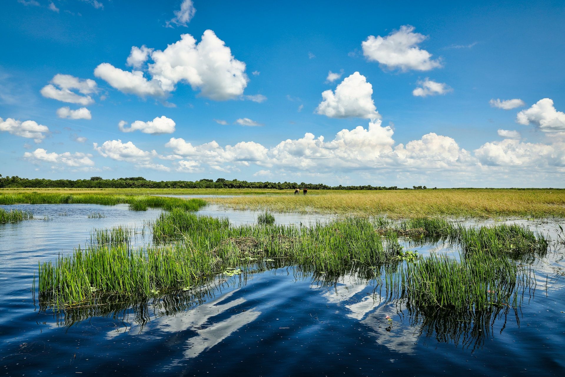 The St. Johns River in Florida