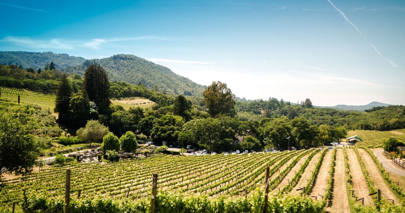 A Guide to Healdsburg, a Burgeoning Culinary Destination in Sonoma County,  California