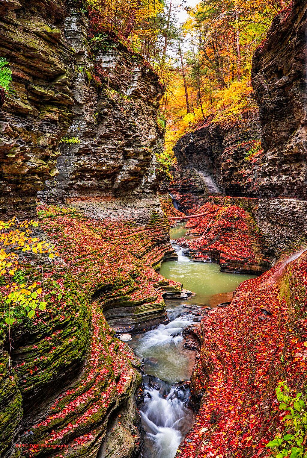 10 Most Scenic Drives To Take In The Finger Lakes Region